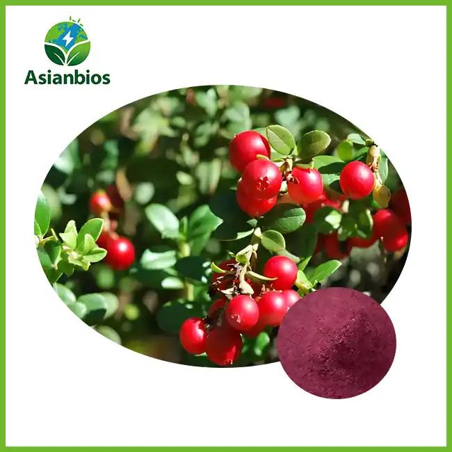 Pure Cranberry Extract Powder
